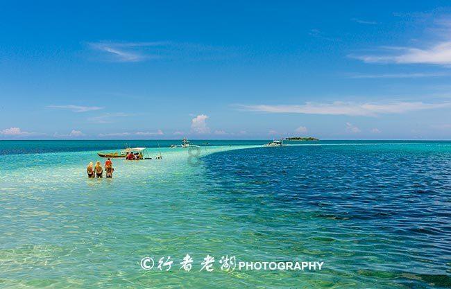 落水狗血战日