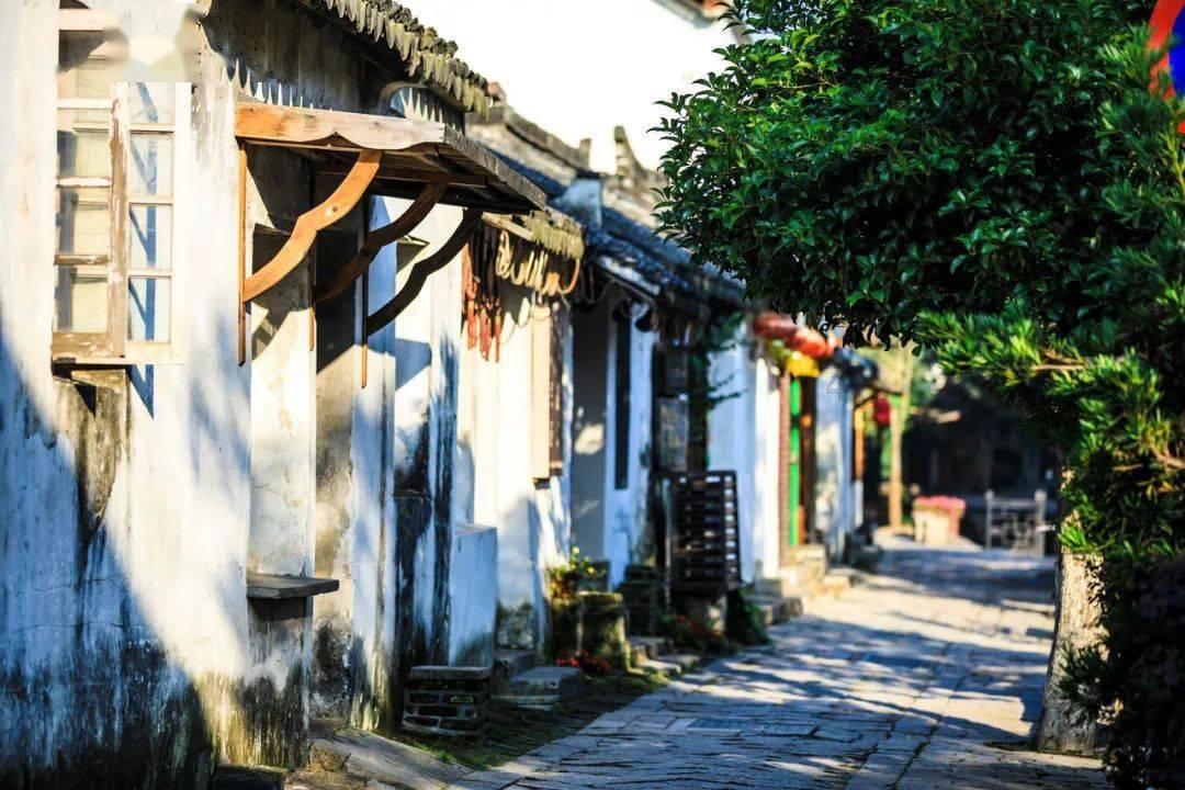 电机有那么多种类,为什么选择使用的润滑脂都不同?